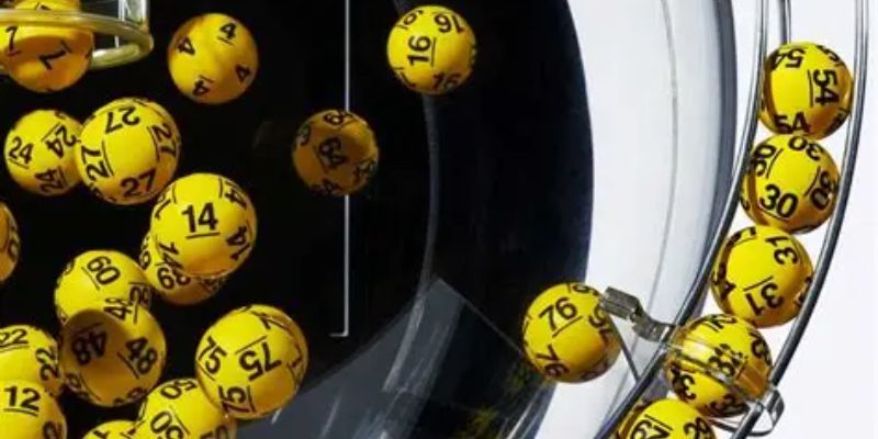 bach-thu-lo-kep-phuong-phap-choi