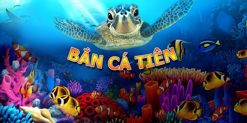 ban-ca-tien-ava